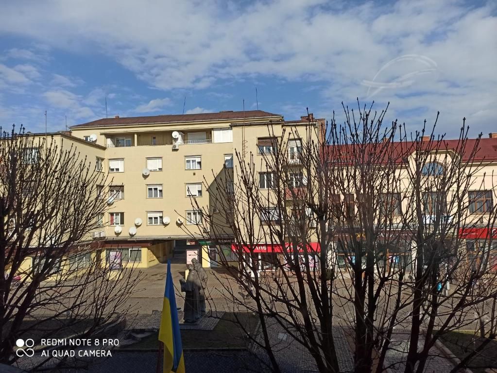 Апартаменты Lux Apartment on Kyryla&Mefodia Мукачево-53